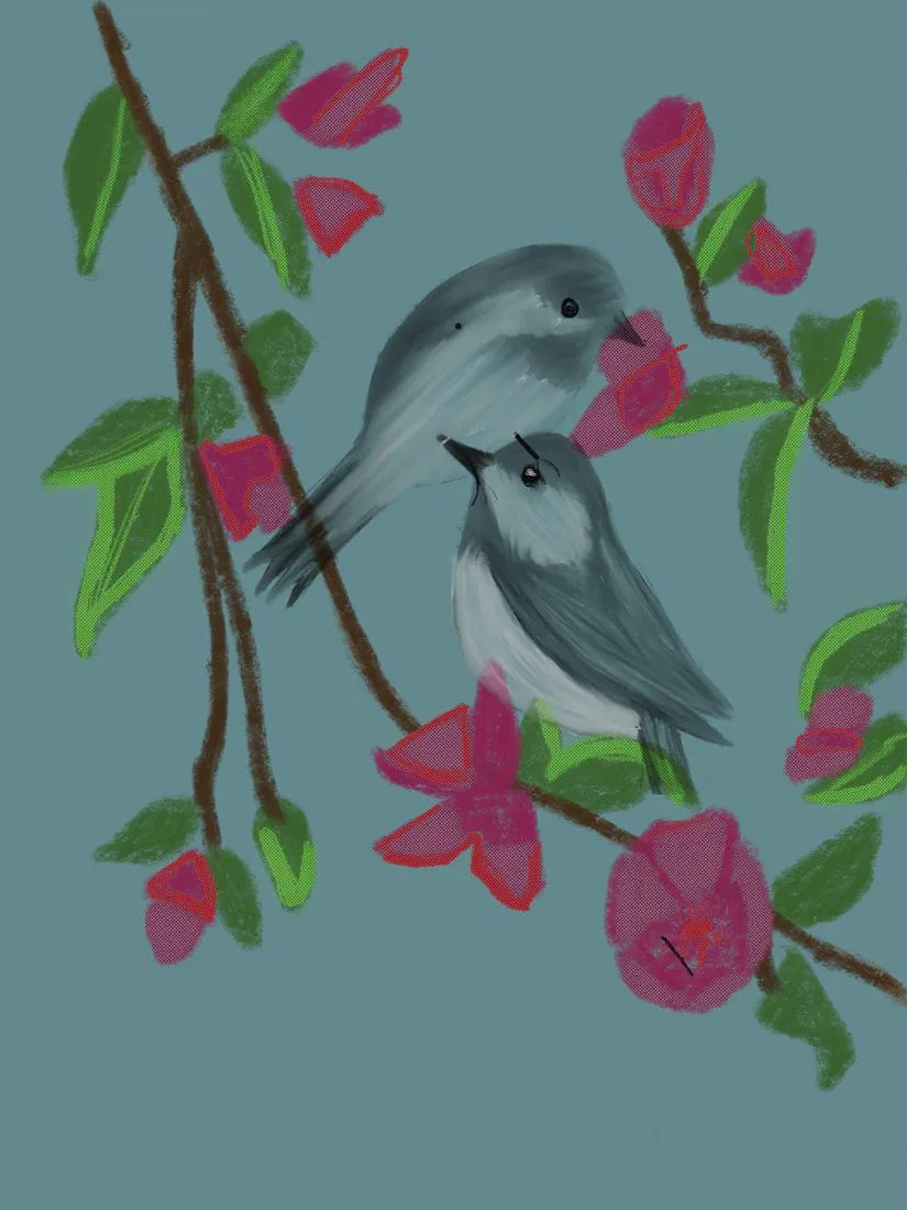 Two grey birds on a branch of pink blossom against pale blue