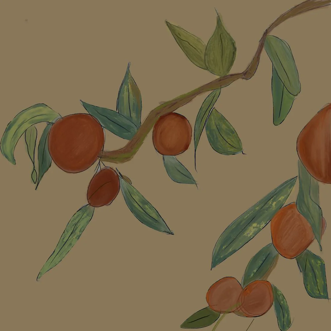 An orange tree branch with green leaves and ripening fruit