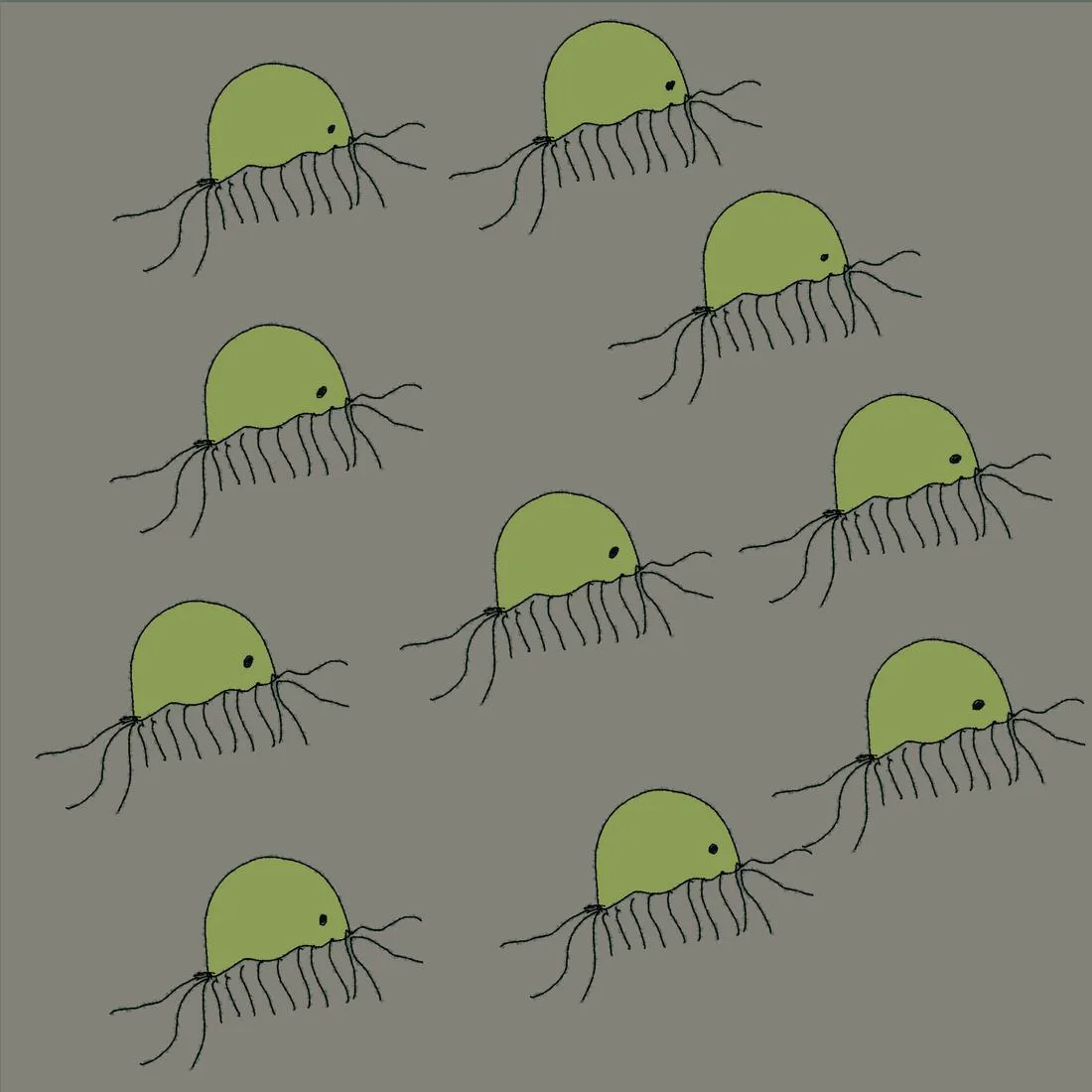 Pale green jellyfish with long trailing tentacles